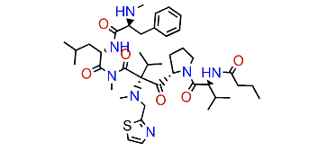 Biseokeaniamide C